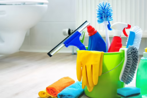 Messie Reinigung Flensburg